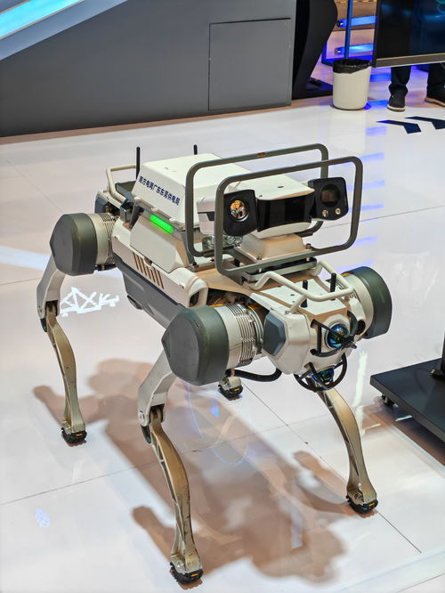 守护数字未来 2024年网络安全博览会上的创新技术服务